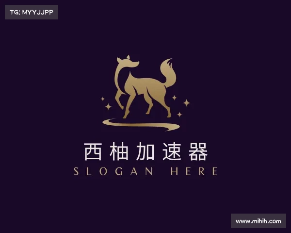 了解西柚加速器